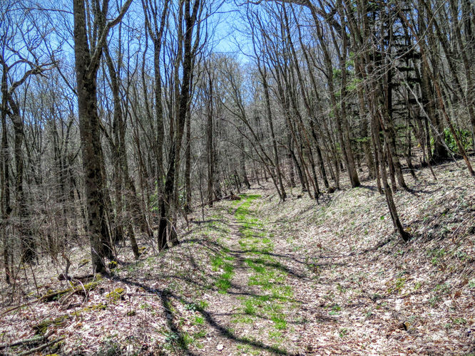 Picture 35 of Blackrock Mtn and The Pinnacle Hike 041616