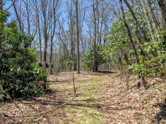 Picture 36 of Blackrock Mtn and The Pinnacle Hike 041616
