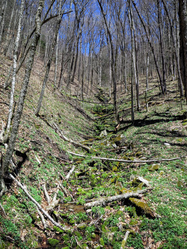 Picture 37 of Blackrock Mtn and The Pinnacle Hike 041616