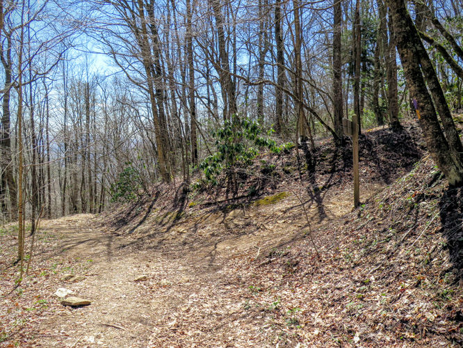 Picture 38 of Blackrock Mtn and The Pinnacle Hike 041616