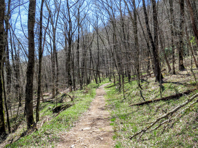 Picture 39 of Blackrock Mtn and The Pinnacle Hike 041616