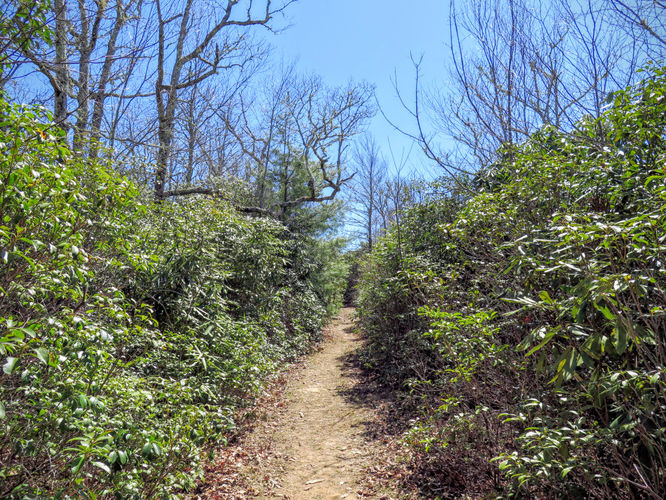 Picture 40 of Blackrock Mtn and The Pinnacle Hike 041616