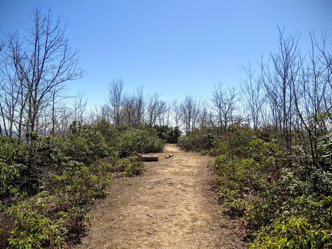 Picture 41 of Blackrock Mtn and The Pinnacle Hike 041616