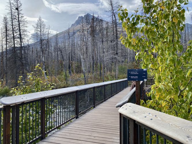 Trailhead for Blakiston Falls