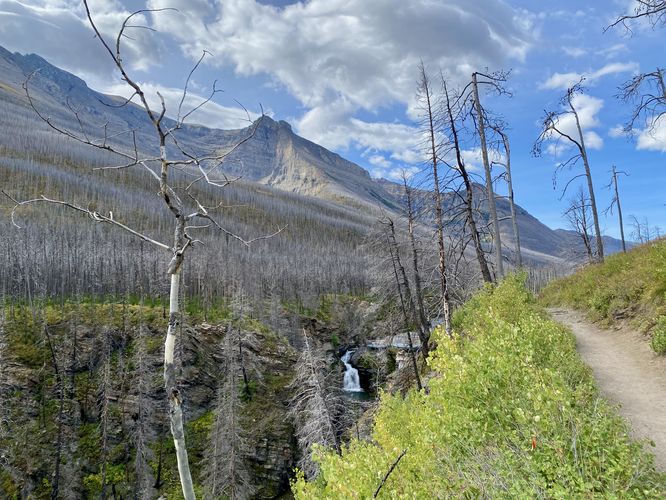 View of Blakiston Falls from the trail