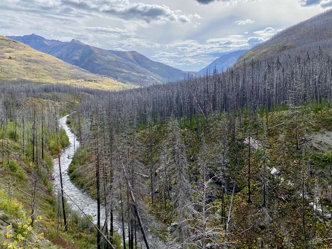 View of Blakiston Creek