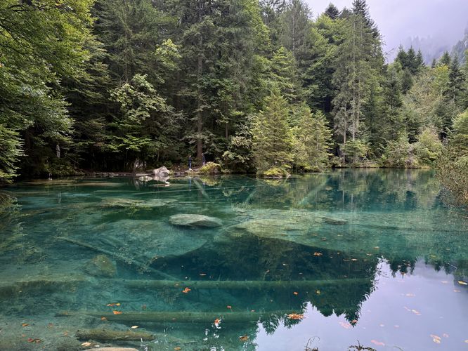 Stunning turquoise hues of Blausee (Blue Lake)