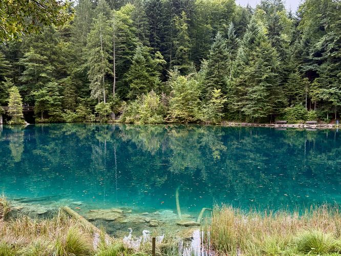 Vibrant blue waters of Blausee
