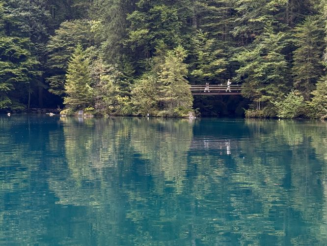 Picture 24 of Blausee Nature Park Loop