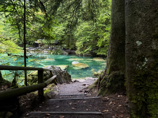 Scenic path along Blausee