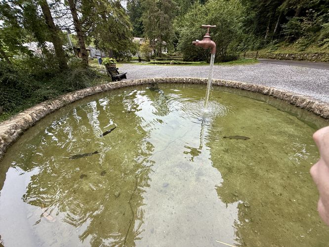 Trout farm area