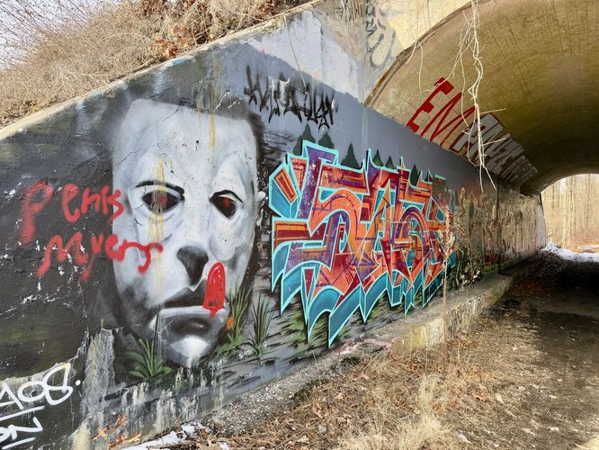 Graffiti tunnel of Cutler Preserve