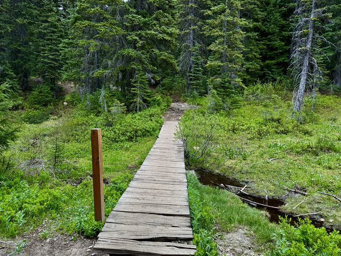 Small footbridge near the trailhead