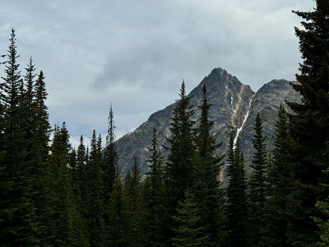 Whistler Peak pokes out from the evergreen forest