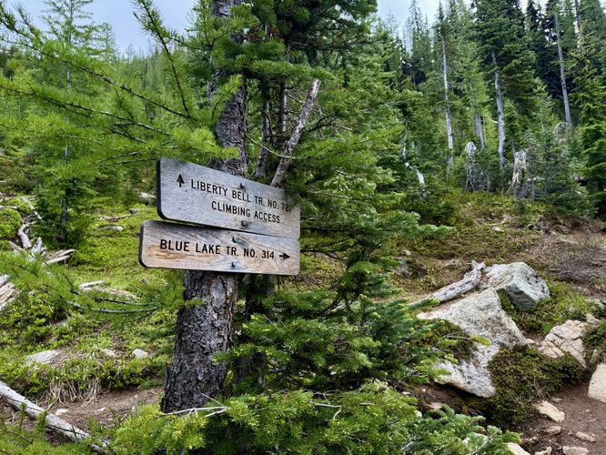 Junction with the Liberty Bell Trail (climbing route)
