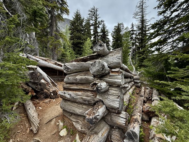 Old cabin remnants