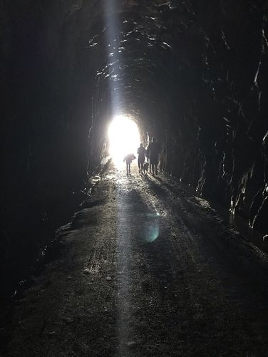 Picture 5 of Blue Ridge Tunnel Hike 120120