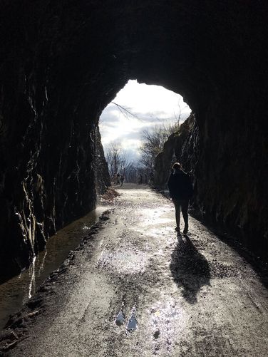 Picture 6 of Blue Ridge Tunnel Hike 120120