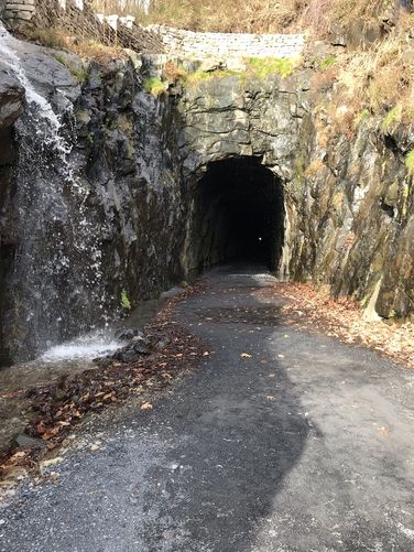 Picture 13 of Blue Ridge Tunnel Hike 120120
