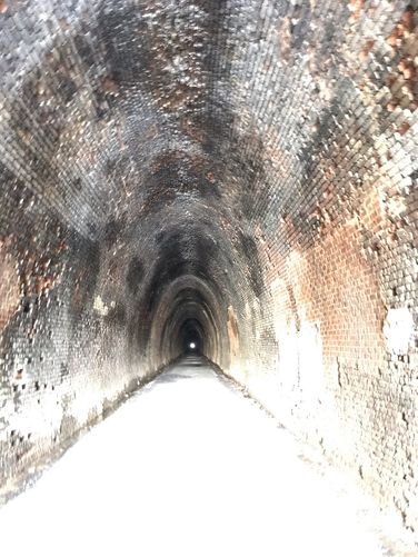 Picture 14 of Blue Ridge Tunnel Hike 120120