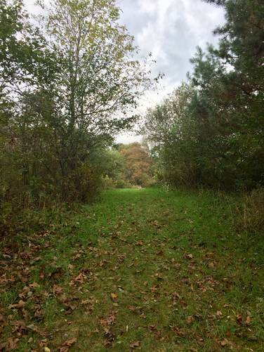 Picture 4 of Blue Spruce Park Vista Trail