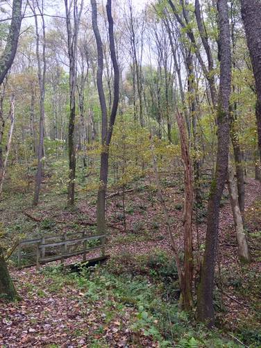 Picture 11 of Blue Spruce Park Vista Trail