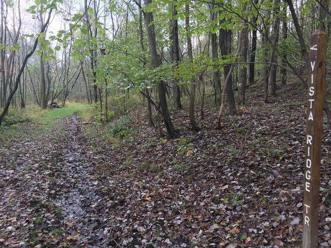 Picture 3 of Blue Spruce Park Vista Trail