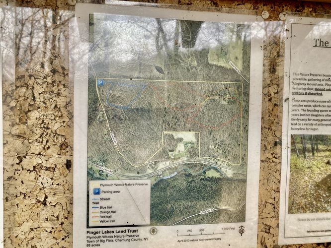 Plymouth Woods trailhead map