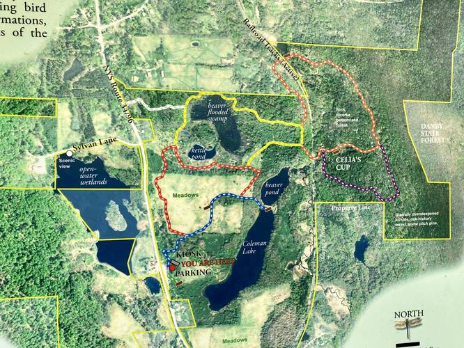 Lindsay-Parsons Biodiversity Preserve trail map