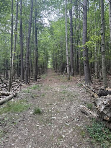 Picture 3 of Blue Trail