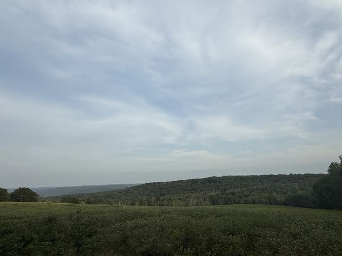 Picture 6 of Blue Trail