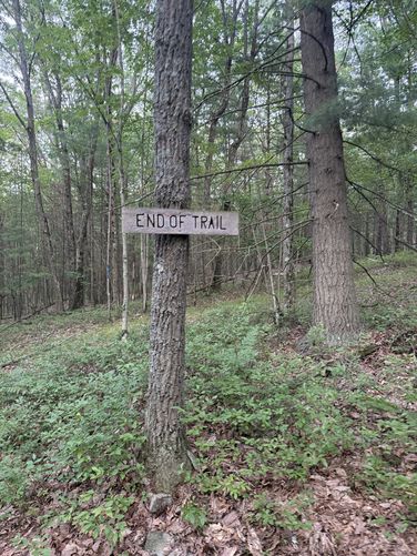 Picture 13 of Blue Trail