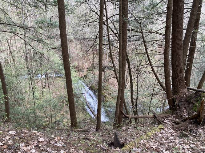 Bohen Run Falls from the main trail