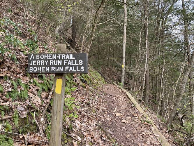 Picture 5 of Bohen Trail