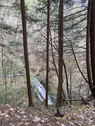 Bohen Run Falls from the main trail