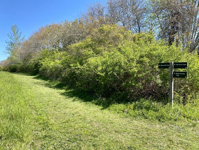 Trail junction along the Bone Hill Trail