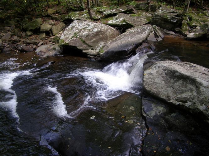 Picture 21 of Boone Fork and Price Lake Hike 090114