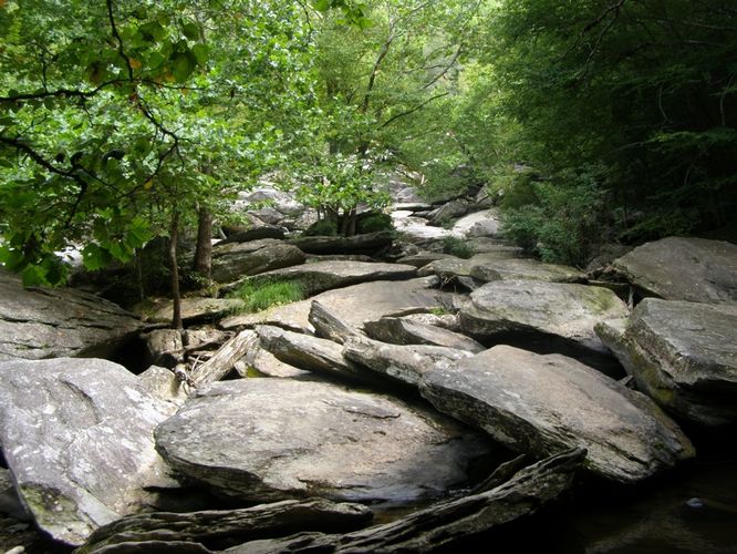 Picture 30 of Boone Fork and Price Lake Hike 090114