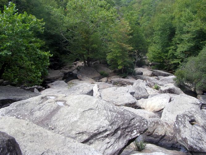 Picture 32 of Boone Fork and Price Lake Hike 090114