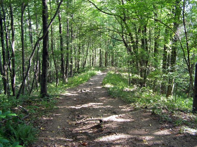 Picture 65 of Boone Fork and Price Lake Hike 090114