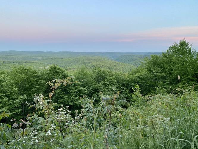 Boone Run Vista