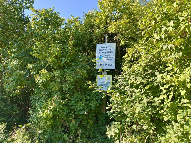 Borer's Falls trail signs