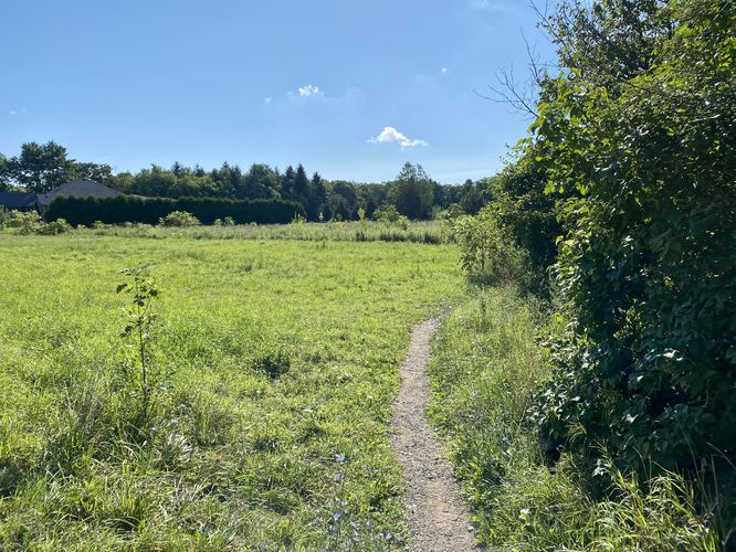 Trailhead to Borer's Falls