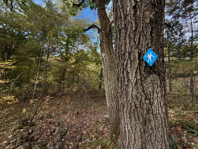 Blue blaze of the Bear Loop