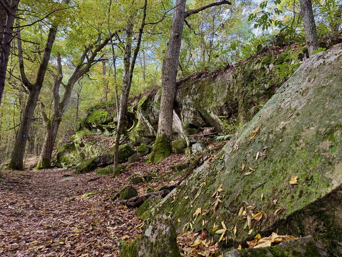 Default image for Bear Loop, a 0.8-mile trail in Mallorytown, ON (CA)