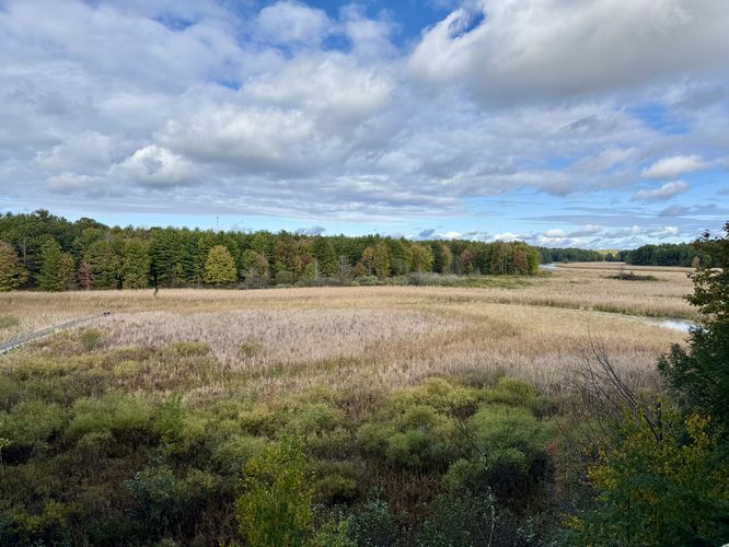 Overlook of Mud Creek, Jones Creek, and the swamp from the trail