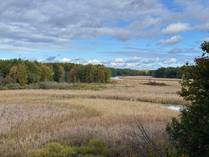 Default image for Heron Loop, a 0.9-mile trail in Mallorytown, ON (CA)