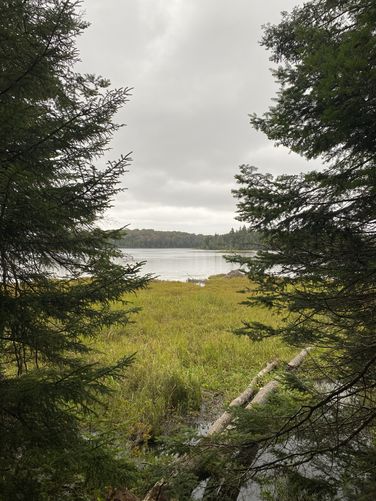View of Bourn Pond