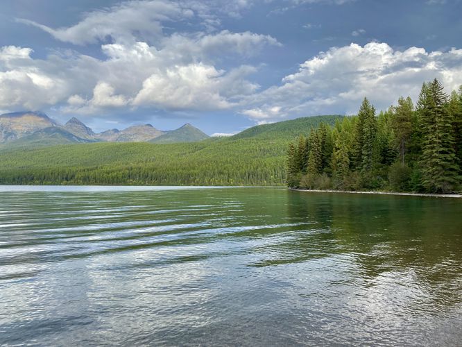Dark turquoise-colored waters of Bowman Lake sit below a spruce forest
