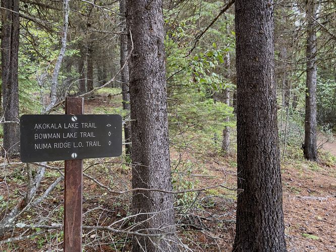 Bowman Lake Trail trailhead sign